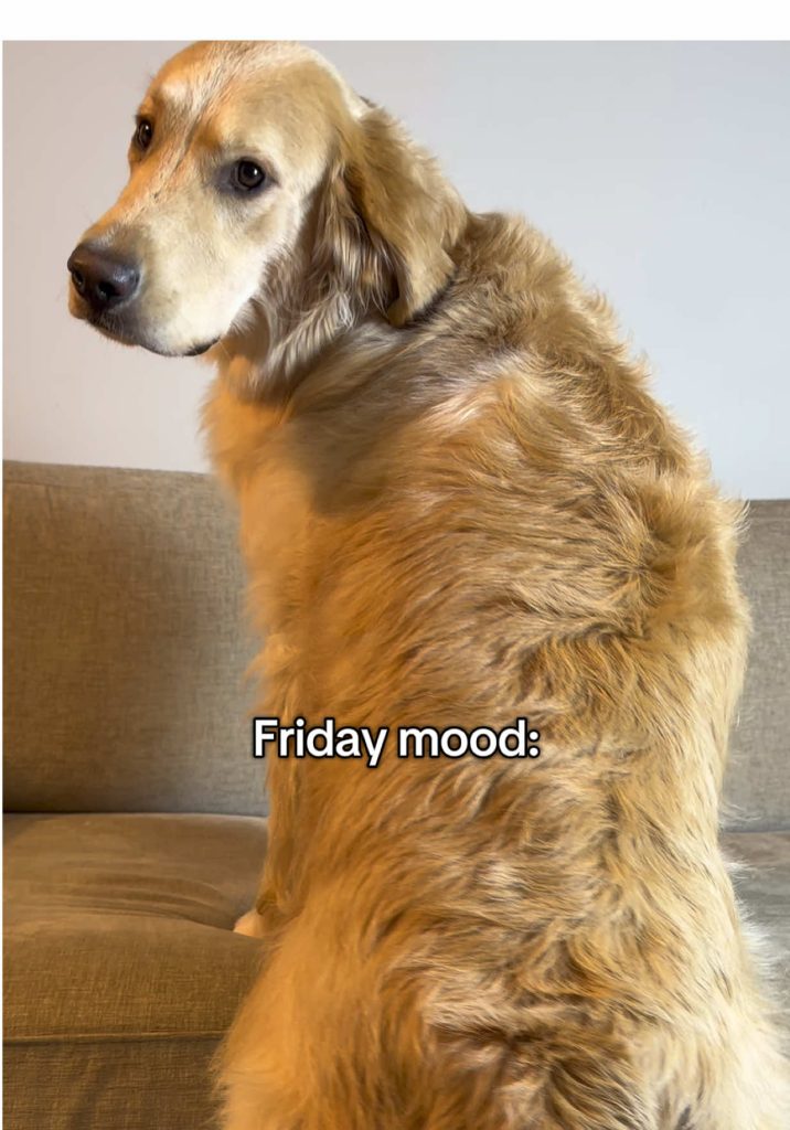 @itsgretaslittleworld It’s Friday and I know it  #itsgretaslittleworld #fridaymo…